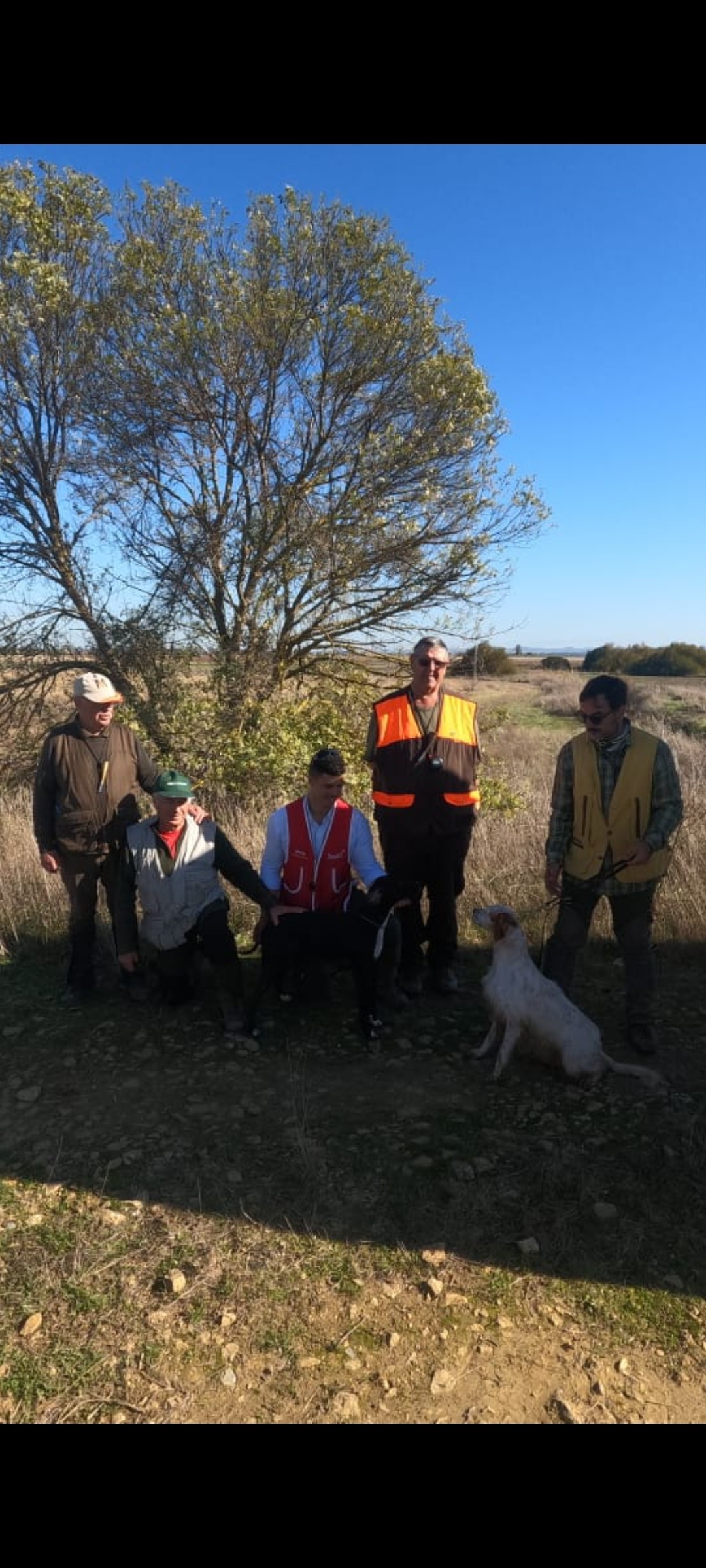 595263281_1292835509541619_8224907944803925560_n